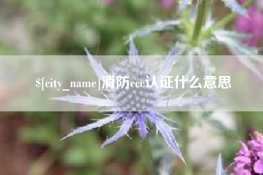 安达消防ccc认证什么意思