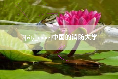 安达中国的消防大学