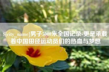 安达男子5000米全国记录-更是承载着中国田径运动员们的热血与梦想