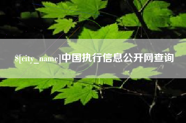 安达中国执行信息公开网查询