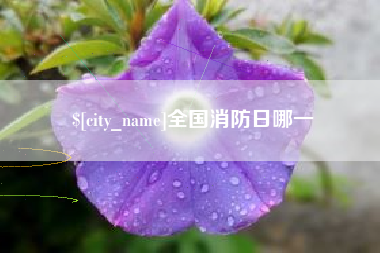 安达全国消防日哪一