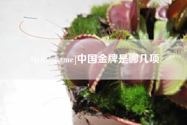 安达中国金牌是哪几项