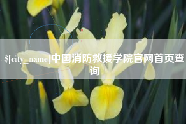 安达中国消防救援学院官网首页查询