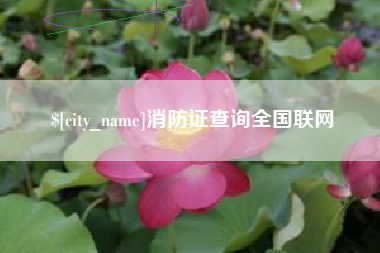 安达消防证查询全国联网