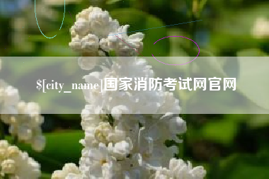 安达国家消防考试网官网