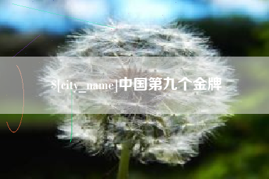 安达中国第九个金牌