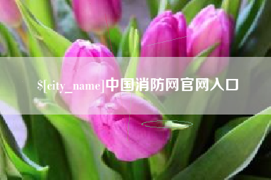 安达中国消防网官网入口