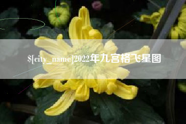 安达2022年九宫格飞星图