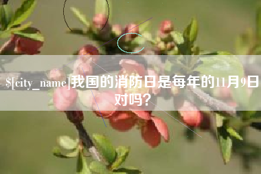 安达我国的消防日是每年的11月9日对吗？