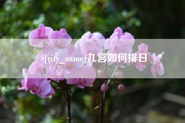 安达九宫如何排日