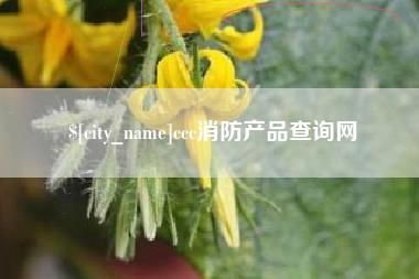 安达ccc消防产品查询网