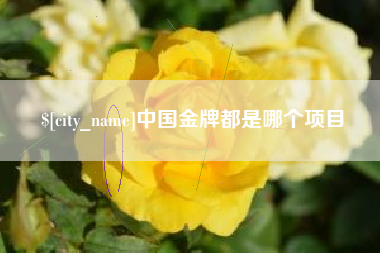 安达中国金牌都是哪个项目