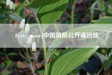 安达中国消防公开课回放