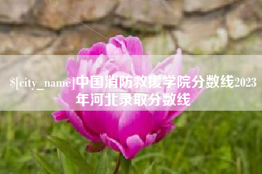 安达中国消防救援学院分数线2023年河北录取分数线