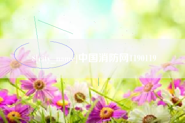 安达中国消防网1190119