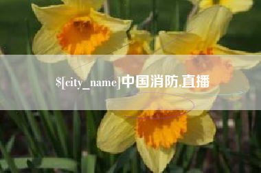 安达中国消防,直播