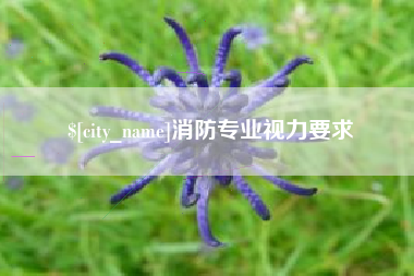 安达消防专业视力要求