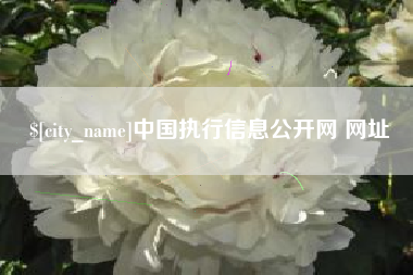 安达中国执行信息公开网 网址