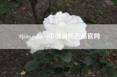 安达中国消防产品官网