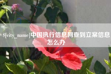 安达中国执行信息网查到立案信息怎么办