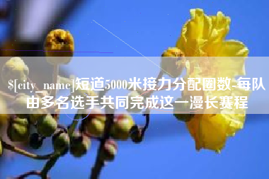 安达短道5000米接力分配圈数-每队由多名选手共同完成这一漫长赛程