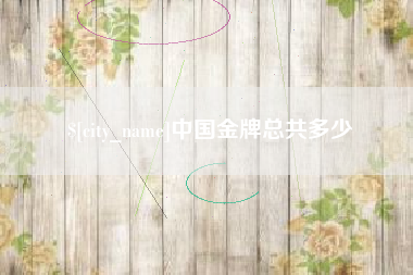 安达中国金牌总共多少