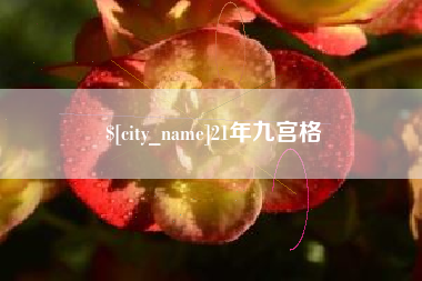 安达21年九宫格