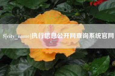 安达执行信息公开网查询系统官网