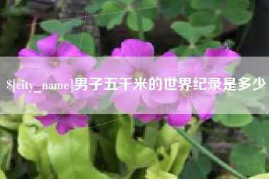 安达男子五千米的世界纪录是多少