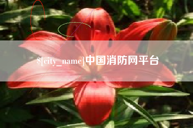 安达中国消防网平台