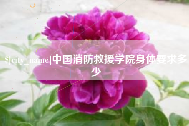 安达中国消防救援学院身体要求多少