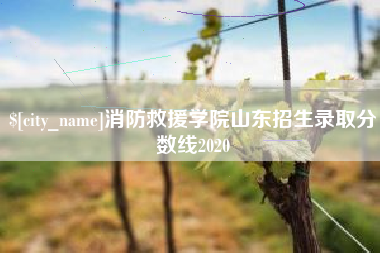 安达消防救援学院山东招生录取分数线2020