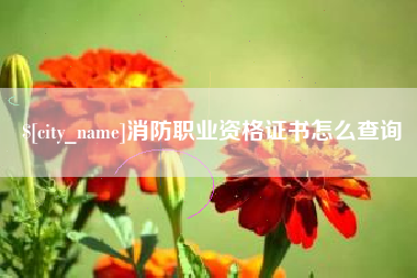 安达消防职业资格证书怎么查询
