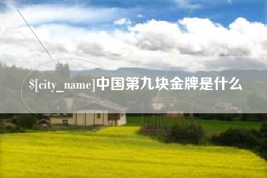 安达中国第九块金牌是什么