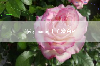安达王子豪百科