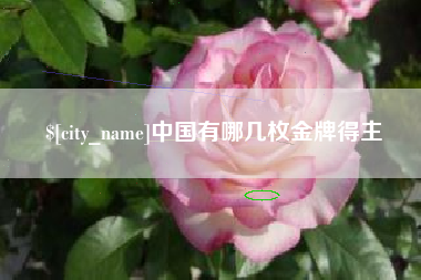 安达中国有哪几枚金牌得主