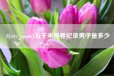 安达五千米世界纪录男子是多少