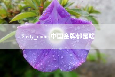 安达中国金牌都是啥