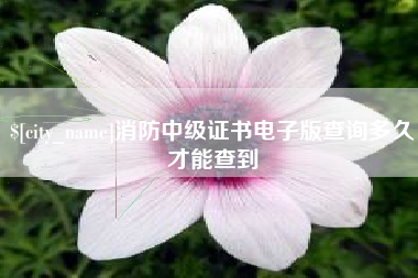安达消防中级证书电子版查询多久才能查到