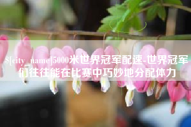 安达5000米世界冠军配速-世界冠军们往往能在比赛中巧妙地分配体力