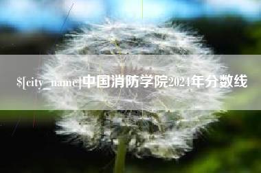 安达中国消防学院2024年分数线