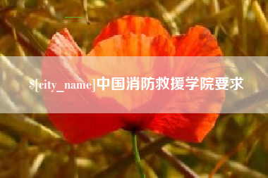 安达中国消防救援学院要求