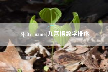 安达九宫格数字排序