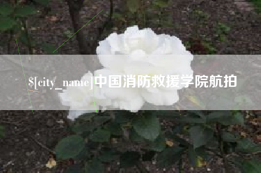 安达中国消防救援学院航拍