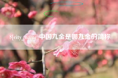 安达中国九金是哪九金的简称