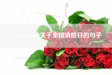 安达关于全国消防日的句子