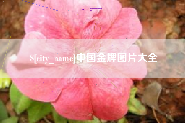 安达中国金牌图片大全