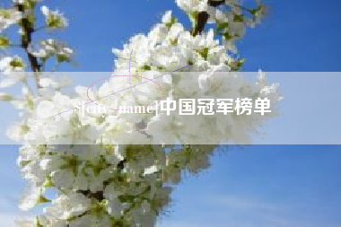 安达中国冠军榜单