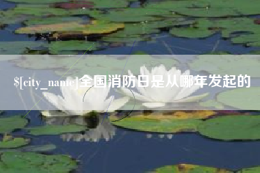 安达全国消防日是从哪年发起的