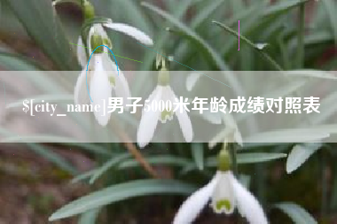 安达男子5000米年龄成绩对照表